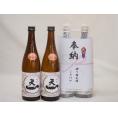 奉納用２本縛り感謝の念を込めセット 三重県産日本酒お酒セット(早川酒造部 天一清酒 720ml×2本)