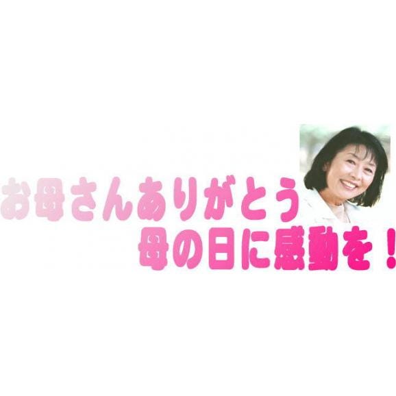 母の日 お母さんありがとう木箱セット井上酒造 長期貯蔵本格麦焼酎 百助 (大分県)l 720ml 母の日カードとカーネイション付03