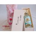 母の日 お母さんありがとう木箱セット宮崎本店 キンミヤ焼酎 (三重県) 720ml 母の日カードとカーネイション付