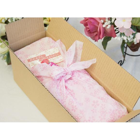 遅れてごめんね♪母の日 お母さんありがとう木箱セット小正醸造 本格芋焼酎紫芋の王様赤猿 (鹿児島県)  900ml 母の日カードとカーネイション付04
