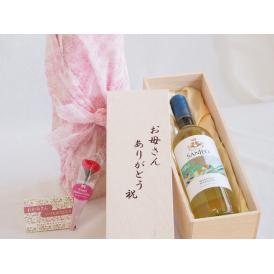 母の日 お母さんありがとう木箱セットボルゴ・サンレオ・ビアンコ 白ワイン (イタリア)  750ml 母の日カードとカーネイション付