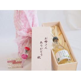 母の日 お母さんありがとう木箱セット信州ナイアガラを使ったワイン (長野県)  500ml 母の日カードとカーネイション付