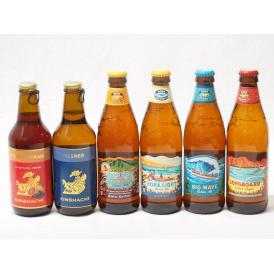ハワイのコナビール飲み比べ6本セット(カシス＆ブラッドオレンジ 金しゃちピルスナー(愛知県) コナビ