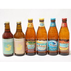 ハワイのコナビール飲み比べ6本セット(金しゃちプラチナエール(愛知県) 金しゃちIPA(愛知県) コ