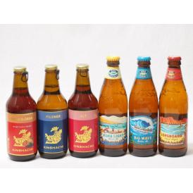 ハワイのコナビール飲み比べ6本セット(カシス＆ブラッドオレンジ 金しゃちアルト(愛知県) 金しゃちピ