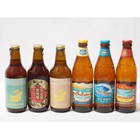 ハワイのコナビール飲み比べ6本セット(名古屋赤味噌ラガー 金しゃちプラチナエール(愛知県) 金しゃち