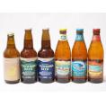 ハワイのコナビール飲み比べ6本セット(金しゃちプラチナエール(愛知県) 横浜ピルスナー 横浜ラガー 