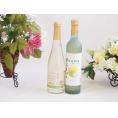 国産フルーツワインと梅酒2本セット(シャインマスカット＆ナイアガラ 信州小梅酒) 500ml×2本
