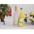果物酒2本セット(シャインマスカット＆ナイアガラ 日向夏リキュール) 500ml×2本