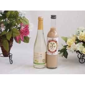 果物酒2本セット(シャインマスカット＆ナイアガラ コーヒーリキュールモカフシギ) 500ml×2本