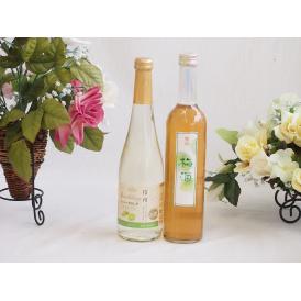 フルーツワイン2本セット(シャインマスカット＆ナイアガラ 百助大分梅酒) 500ml×2本
