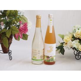 果物酒2本セット(シャインマスカット＆ナイアガラ 日本酒仕込梅酒) 500ml×2本