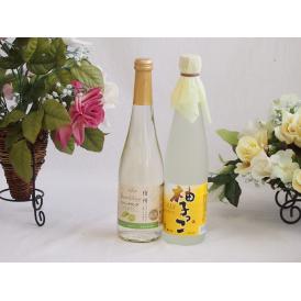 果物酒2本セット(シャインマスカット＆ナイアガラ 柚子っこ) 500ml×2本