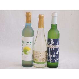 国産フルーツワインと梅酒3本セット(シャインマスカット＆ナイアガラ 京都青谷梅わいん 信州小梅酒) 