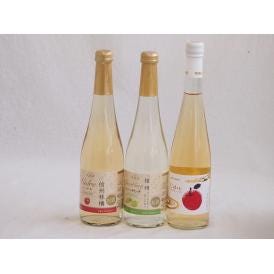 国産フルーツワイン3本セット(シャインマスカット＆ナイアガラ シードルCidre 信州林檎) 500