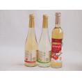 フルーツワイン3本セット(シャインマスカット＆ナイアガラ アップルワイン 信州林檎) 500ml×3