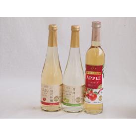 フルーツワイン3本セット(シャインマスカット＆ナイアガラ アップルワイン 信州林檎) 500ml×3