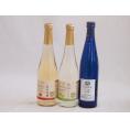 国産フルーツワイン3本セット(シャインマスカット＆ナイアガラ 国産ナイアガラ 信州林檎) 500ml