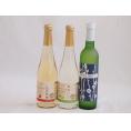 フルーツワイン3本セット(シャインマスカット＆ナイアガラ 京都青谷梅わいん 信州林檎) 500ml×