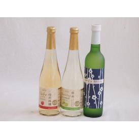 フルーツワイン3本セット(シャインマスカット＆ナイアガラ 京都青谷梅わいん 信州林檎) 500ml×