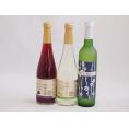 フルーツワイン3本セット(シャインマスカット＆ナイアガラ 京都青谷梅わいん 信州巨峰) 500ml×