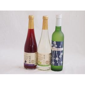 フルーツワイン3本セット(シャインマスカット＆ナイアガラ 京都青谷梅わいん 信州巨峰) 500ml×