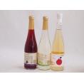 フルーツワイン3本セット(シャインマスカット＆ナイアガラ シードルCidre 信州巨峰) 500ml