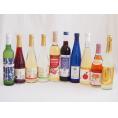 選りすぐりフルーツワイン10本セット(シャインマスカット＆ナイアガラ シードルCidre 京都青谷梅