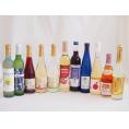 選りすぐりフルーツワイン11本セット(シャインマスカット＆ナイアガラ シードルCidre 京都青谷梅