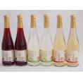 フルーツワイン6本セット(シャインマスカット＆ナイアガラ 信州林檎 信州巨峰) 500ml×6本