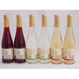 フルーツワイン6本セット(シャインマスカット＆ナイアガラ 信州林檎 信州巨峰) 500ml×6本
