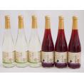 フルーツワイン6本セット(シャインマスカット＆ナイアガラ 信州巨峰) 500ml×6本