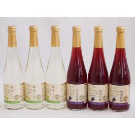 フルーツワイン6本セット(シャインマスカット＆ナイアガラ 信州巨峰) 500ml×6本