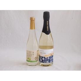 甘味フルーツワイン2本セット(シャインマスカット＆ナイアガラ 京都青谷スパークリング梅酒) 500m