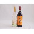 甘味フルーツワイン2本セット(シャインマスカット＆ナイアガラ おたる赤甘口) 500ml×1本 72