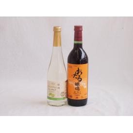 甘味フルーツワイン2本セット(シャインマスカット＆ナイアガラ おたる赤甘口) 500ml×1本 72