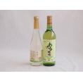 甘味フルーツワイン2本セット(シャインマスカット＆ナイアガラ おたるデラウェア) 500ml×1本 