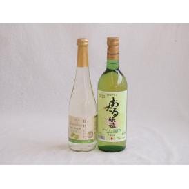 甘味フルーツワイン2本セット(シャインマスカット＆ナイアガラ おたるデラウェア) 500ml×1本 