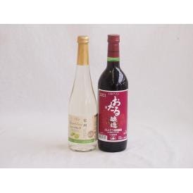 甘味フルーツワイン2本セット(シャインマスカット＆ナイアガラ おたる山ぶどう赤) 500ml×1本 