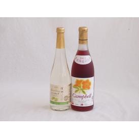 甘味フルーツワイン2本セット(シャインマスカット＆ナイアガラ おたるプレミアムキャンベル赤) 500