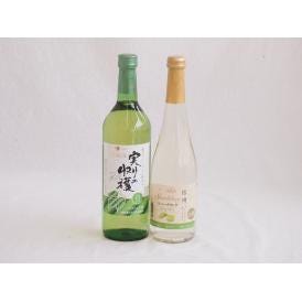 甘味フルーツワイン2本セット(シャインマスカット＆ナイアガラ 実り収穫デラウェア白) 500ml×1
