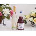 国産果物ワイン2本セット(シャインマスカット＆ナイアガラ 信州の巨峰) 500ml×2本