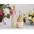 国産果物ワイン2本セット(シャインマスカット＆ナイアガラ 信州のもも) 500ml×2本