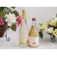 国産果物ワイン2本セット(シャインマスカット＆ナイアガラ 信州のりんご) 500ml×2本