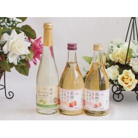 国産果物ワイン3本セット(シャインマスカット＆ナイアガラ 信州のりんご 信州のもも) 500ml×3