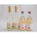 国産果物ワイン4本セット(シャインマスカット＆ナイアガラ 信州のりんご) 500ml×4本