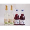 国産果物ワイン4本セット(シャインマスカット＆ナイアガラ 信州の巨峰) 500ml×4本