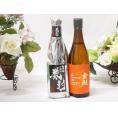 愛知県金鯱厳選素材日本酒2本セット(金鯱初夢桜 厳封本醸造 金鯱完熟ひやおろし) 720ml×2本
