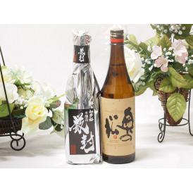 愛知金鯱と厳選日本酒2本セット(金鯱初夢桜 厳封本醸造 奥の松吟醸) 720ml×2本