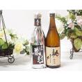 愛知金鯱と厳選日本酒2本セット(金鯱初夢桜 厳封本醸造 桃川純米) 720ml×2本
